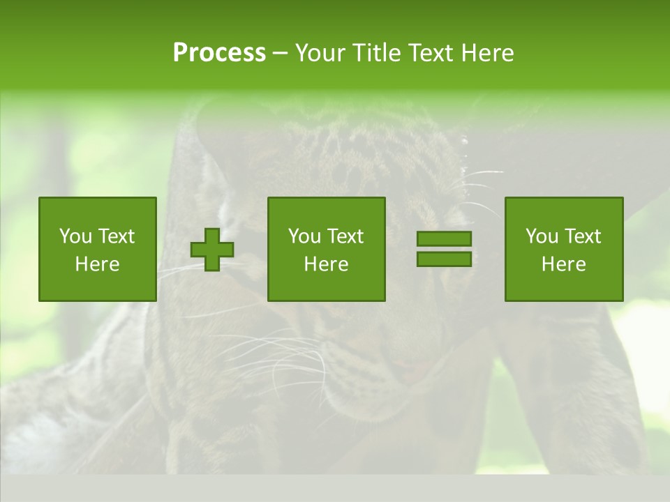 Cat Whiskers Wildlife PowerPoint Template