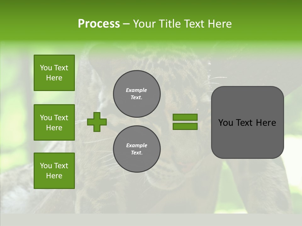 Cat Whiskers Wildlife PowerPoint Template