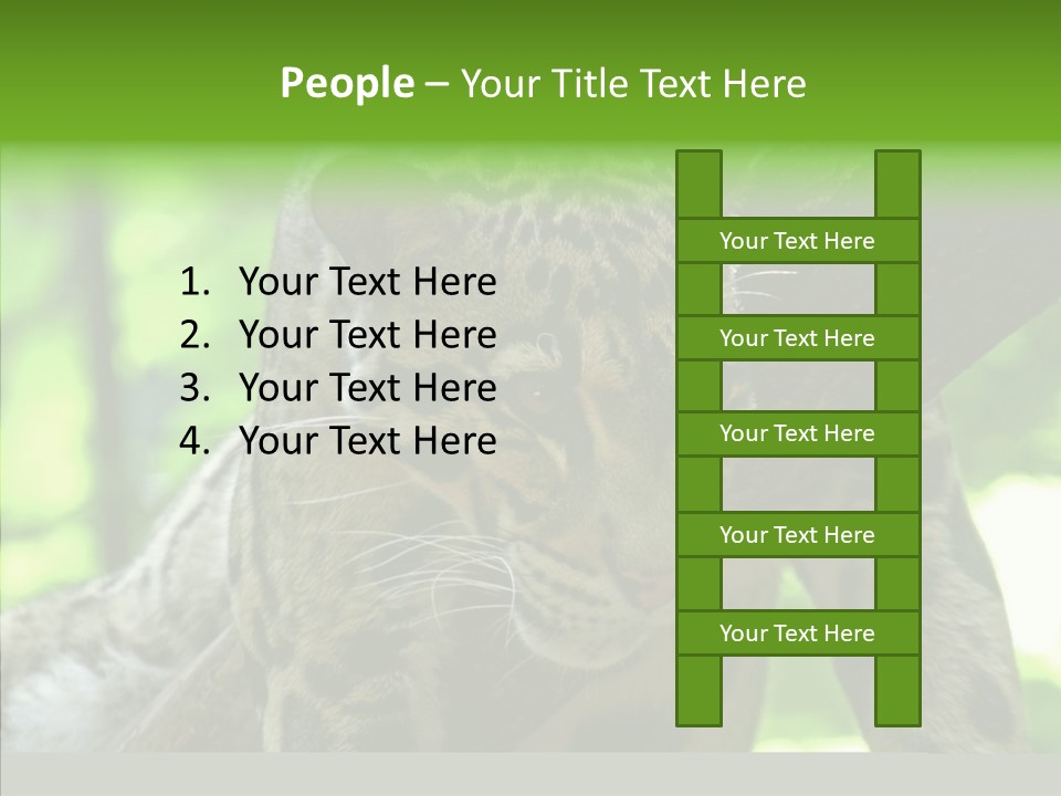 Cat Whiskers Wildlife PowerPoint Template