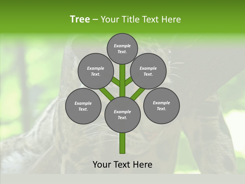 Cat Whiskers Wildlife PowerPoint Template