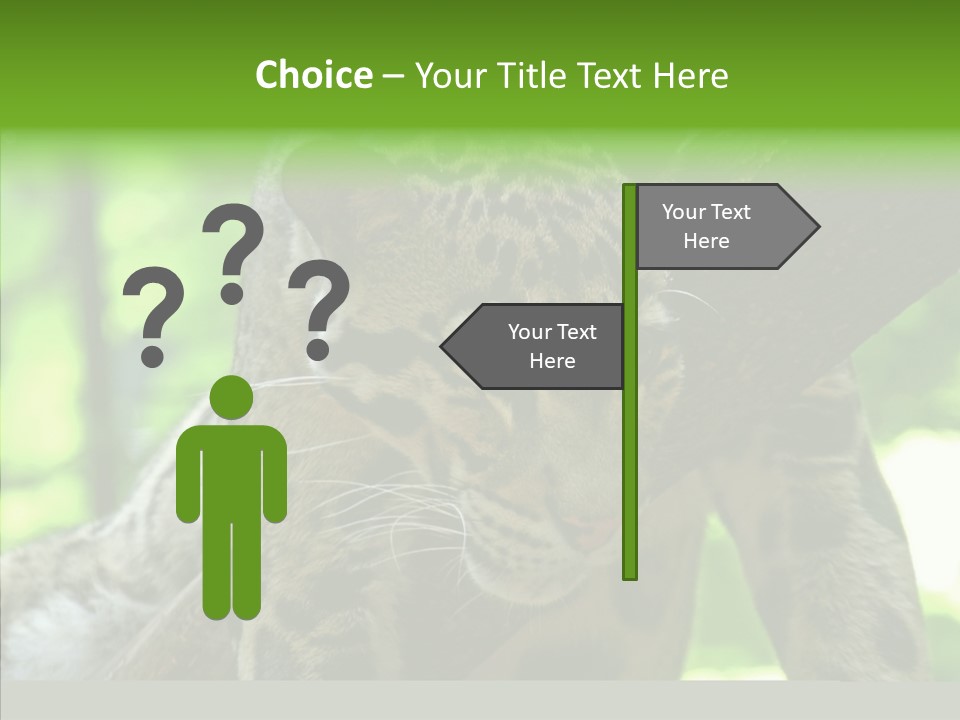 Cat Whiskers Wildlife PowerPoint Template