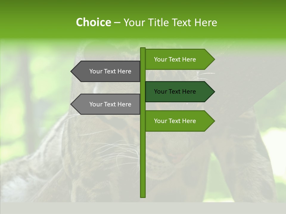 Cat Whiskers Wildlife PowerPoint Template