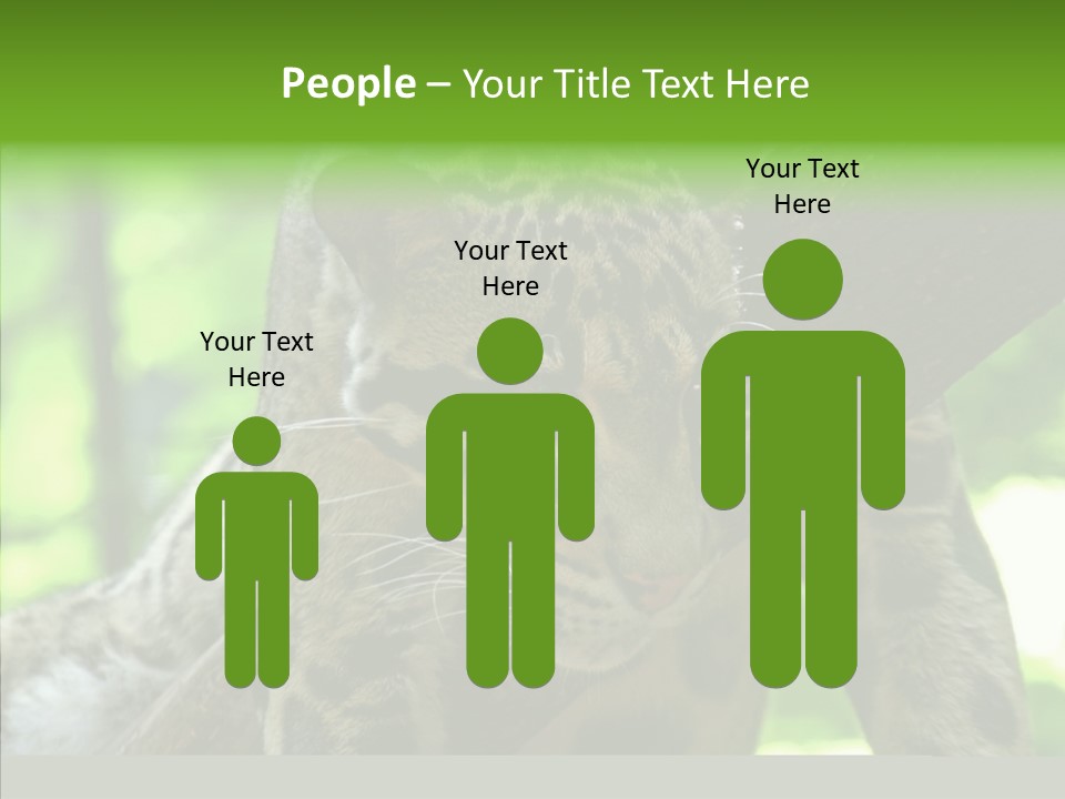 Cat Whiskers Wildlife PowerPoint Template