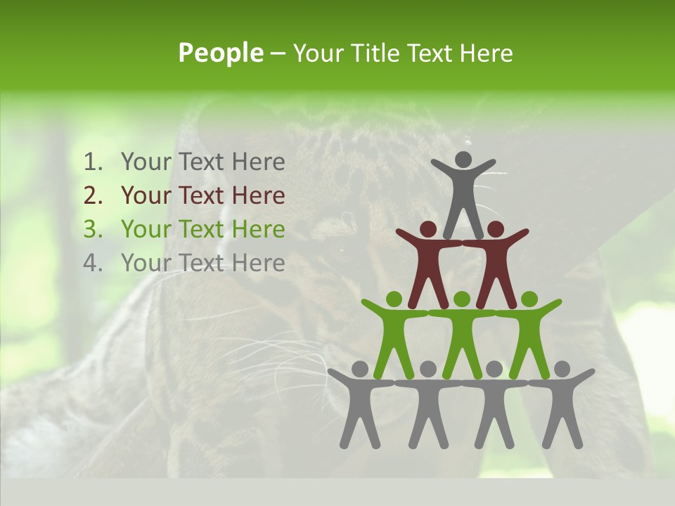 Cat Whiskers Wildlife PowerPoint Template