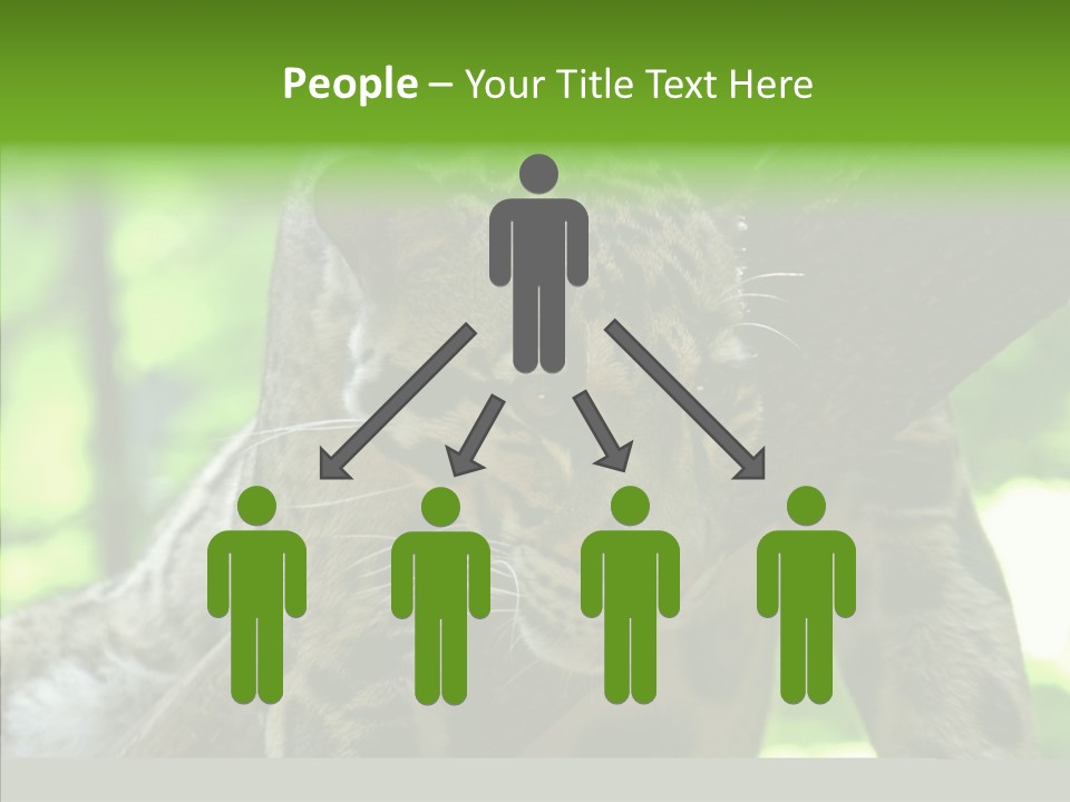 Cat Whiskers Wildlife PowerPoint Template