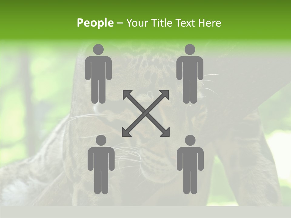 Cat Whiskers Wildlife PowerPoint Template