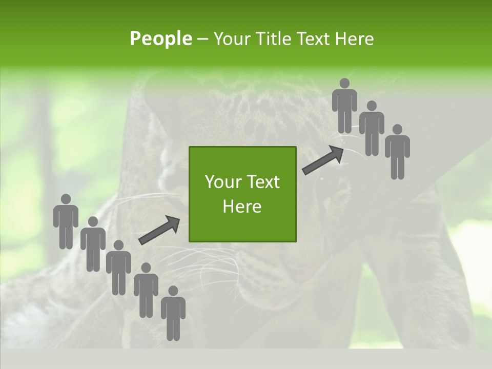 Cat Whiskers Wildlife PowerPoint Template