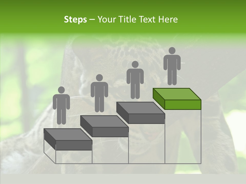 Cat Whiskers Wildlife PowerPoint Template