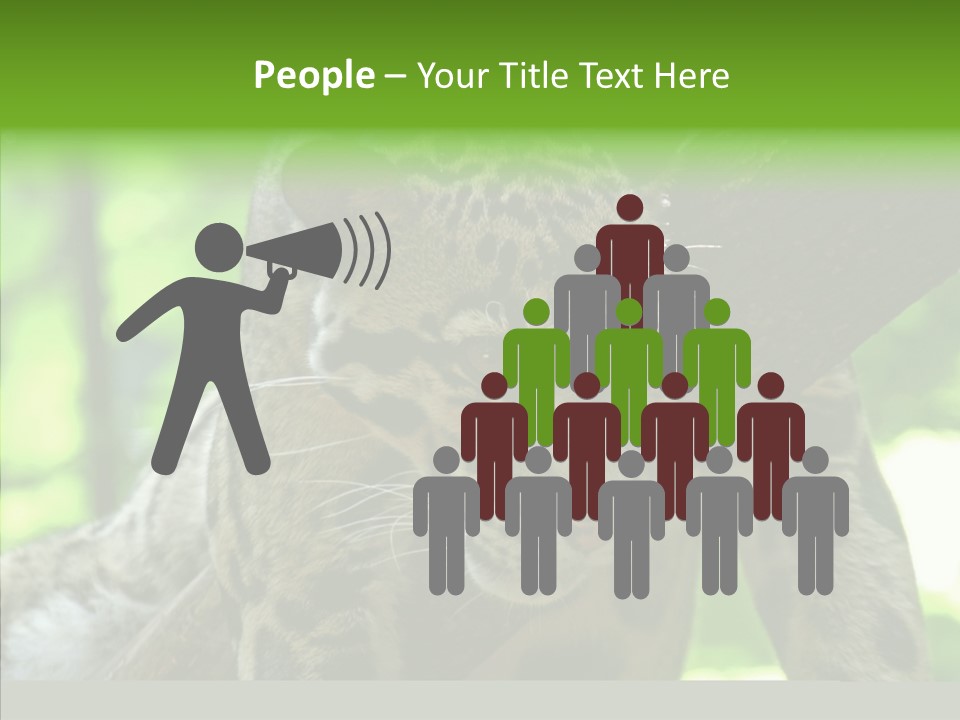 Cat Whiskers Wildlife PowerPoint Template