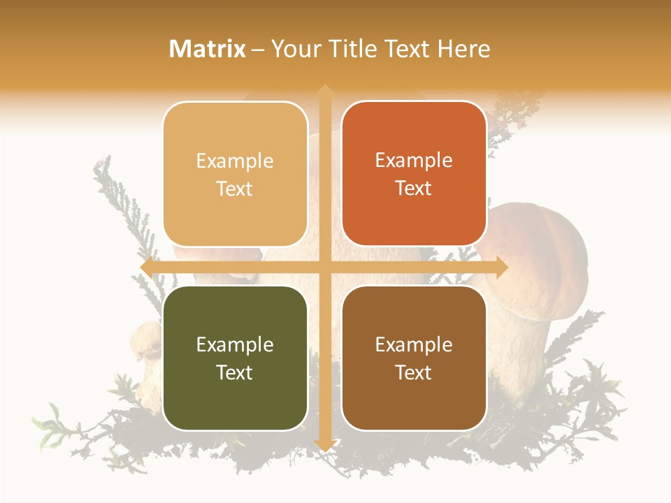 Food Stem Peat PowerPoint Template