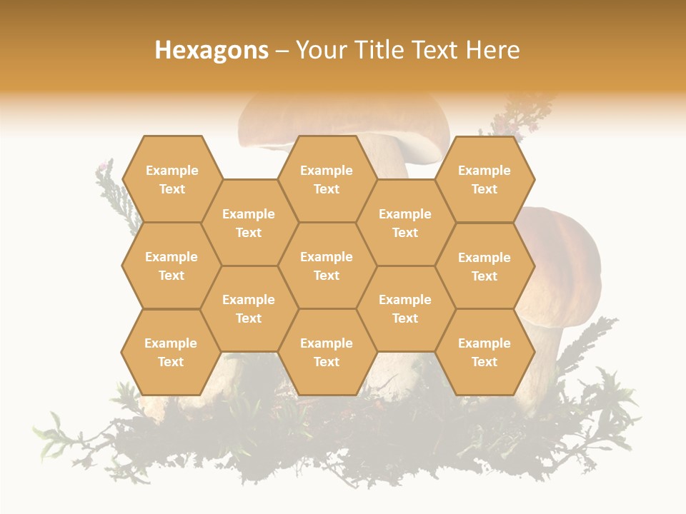 Food Stem Peat PowerPoint Template