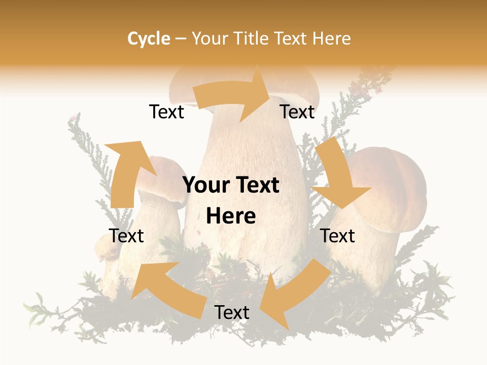 Food Stem Peat PowerPoint Template