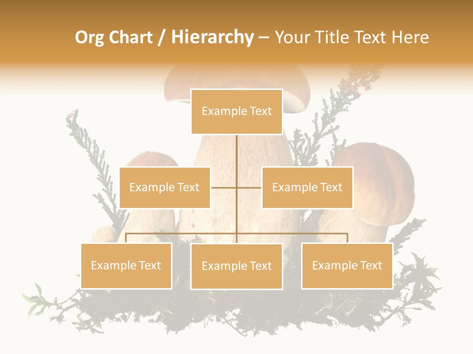Food Stem Peat PowerPoint Template