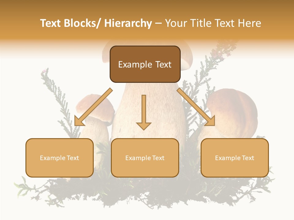 Food Stem Peat PowerPoint Template