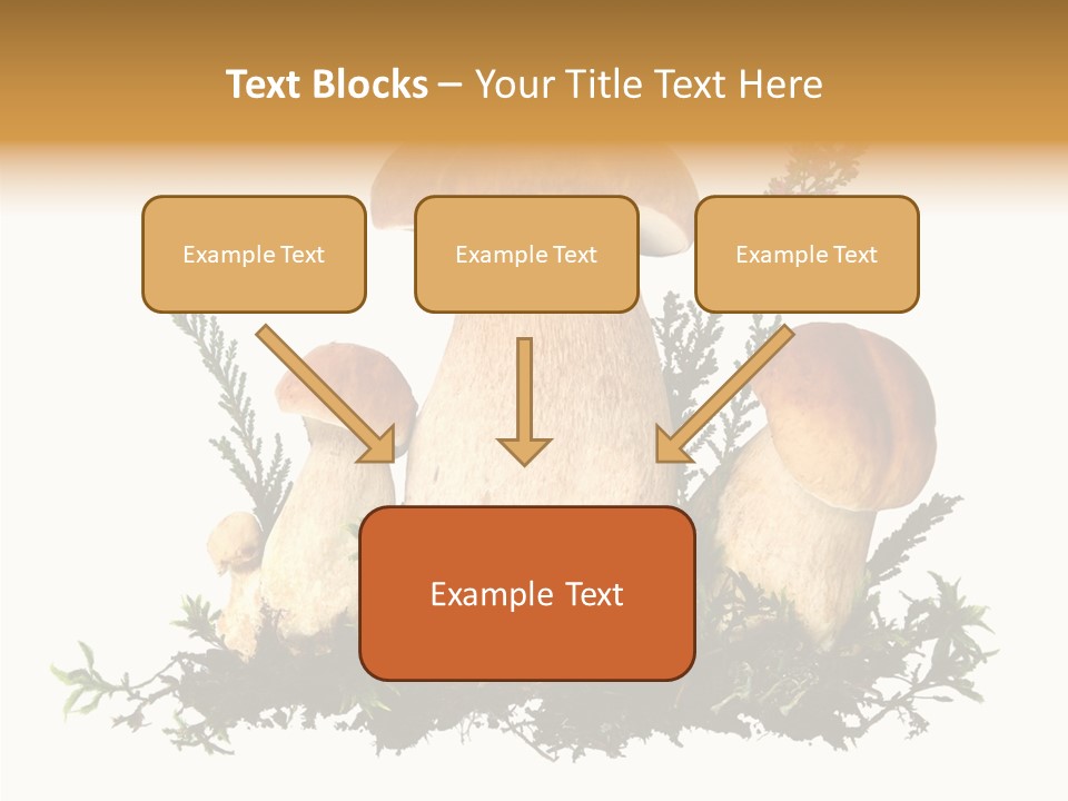 Food Stem Peat PowerPoint Template