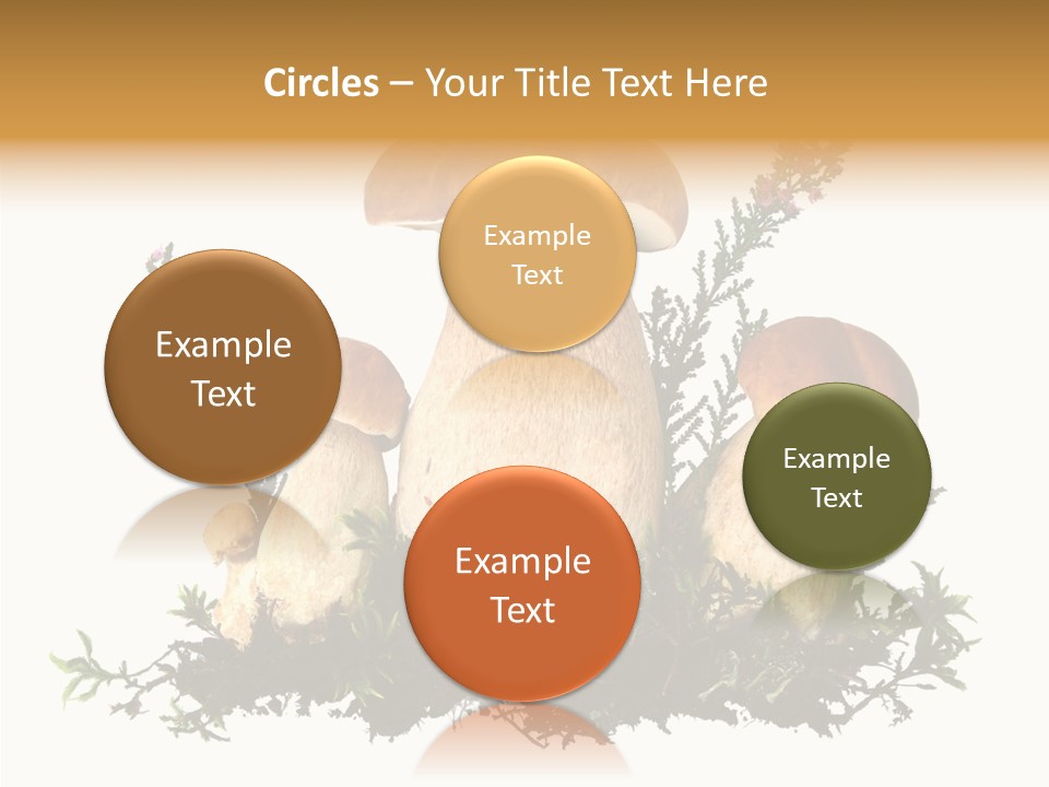 Food Stem Peat PowerPoint Template