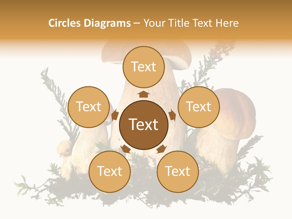 Food Stem Peat PowerPoint Template