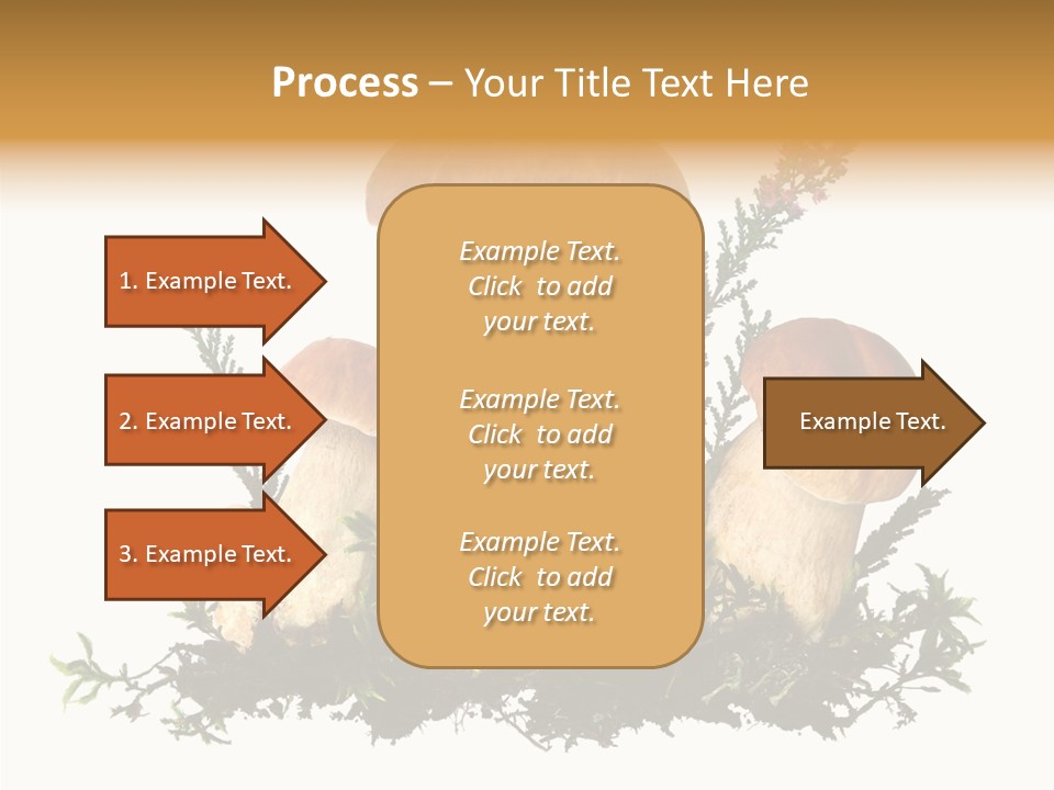 Food Stem Peat PowerPoint Template
