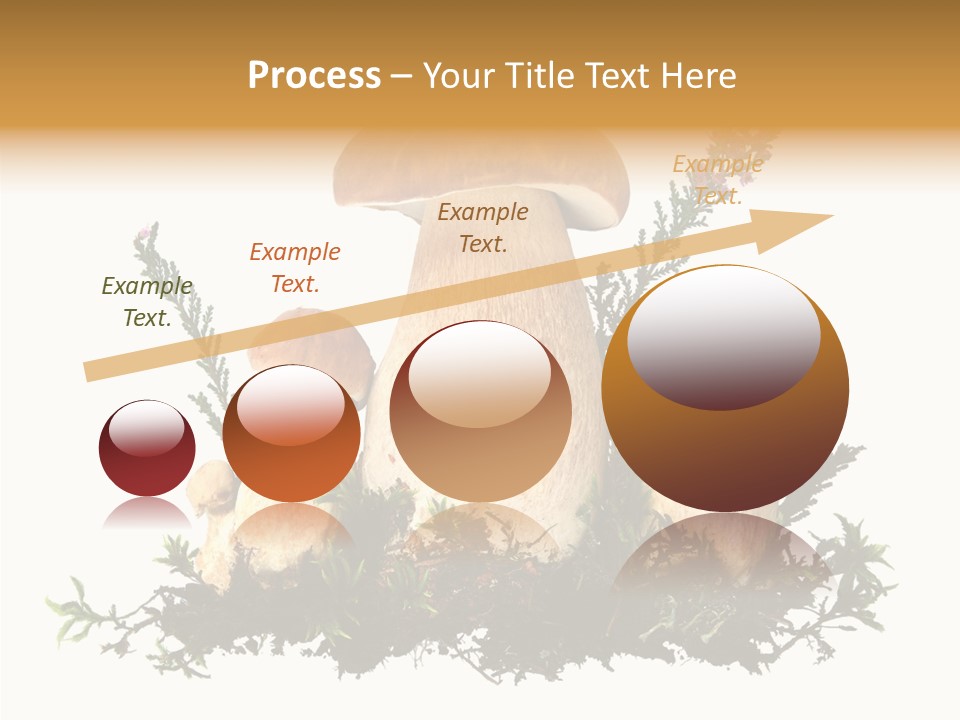 Food Stem Peat PowerPoint Template