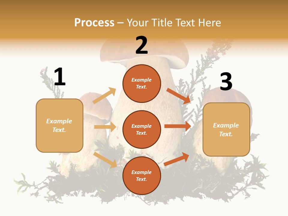 Food Stem Peat PowerPoint Template