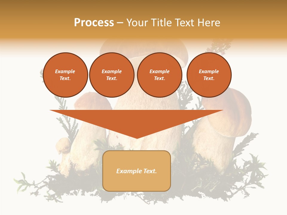 Food Stem Peat PowerPoint Template
