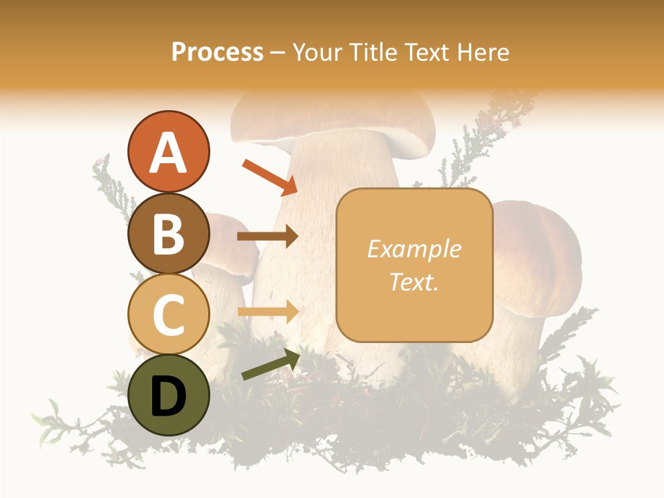 Food Stem Peat PowerPoint Template