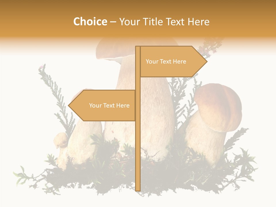 Food Stem Peat PowerPoint Template