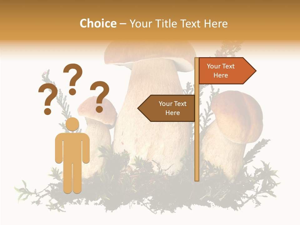 Food Stem Peat PowerPoint Template