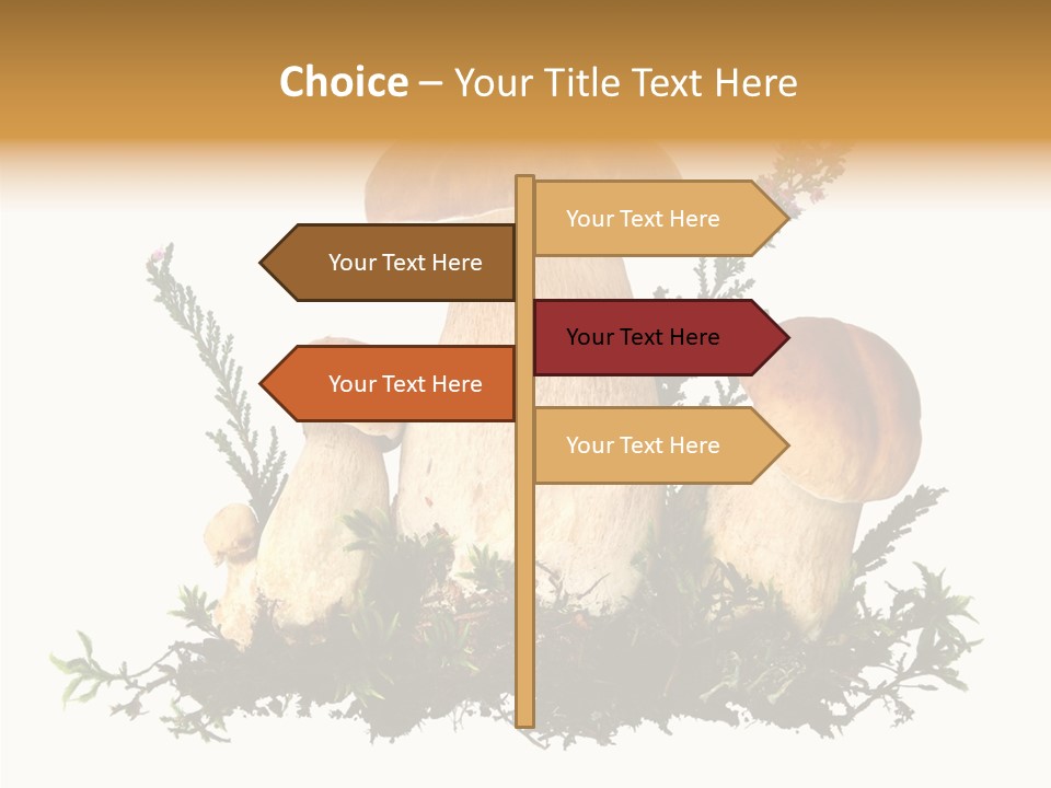 Food Stem Peat PowerPoint Template