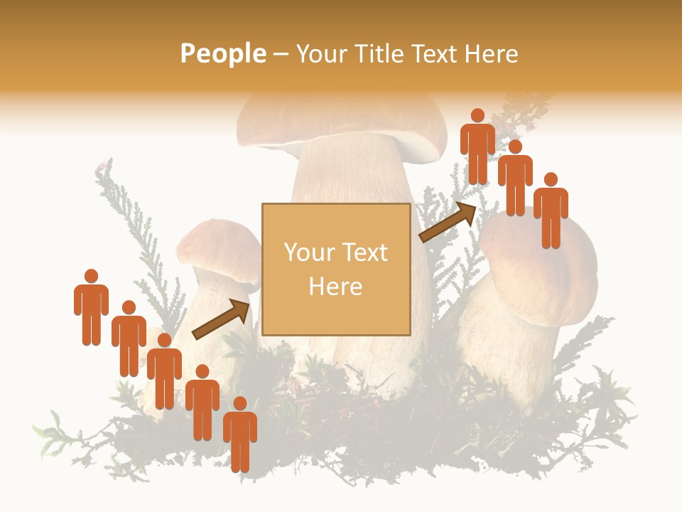 Food Stem Peat PowerPoint Template