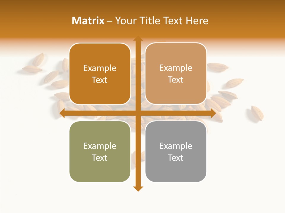 Rice Plant Harvest PowerPoint Template