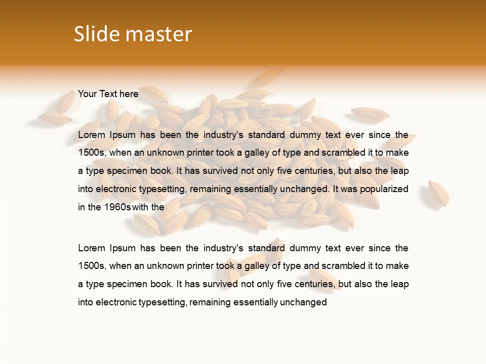 Rice Plant Harvest PowerPoint Template