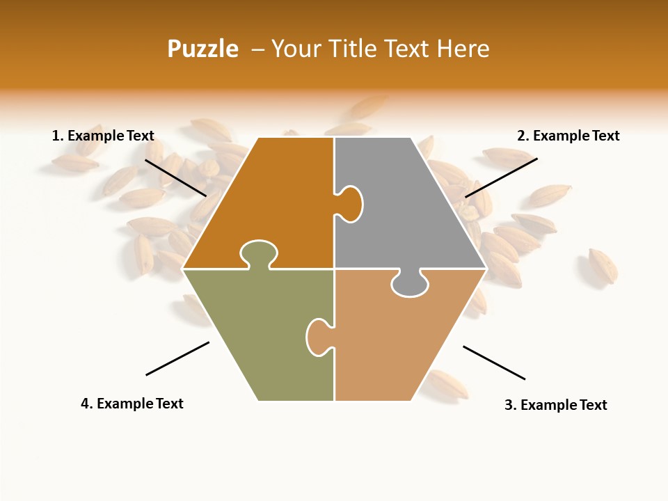 Rice Plant Harvest PowerPoint Template