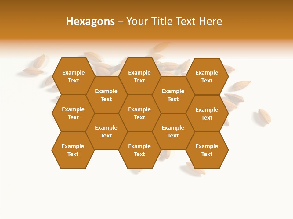 Rice Plant Harvest PowerPoint Template