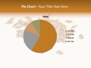 Rice Plant Harvest PowerPoint Template