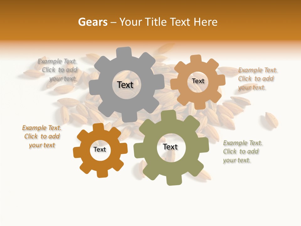 Rice Plant Harvest PowerPoint Template