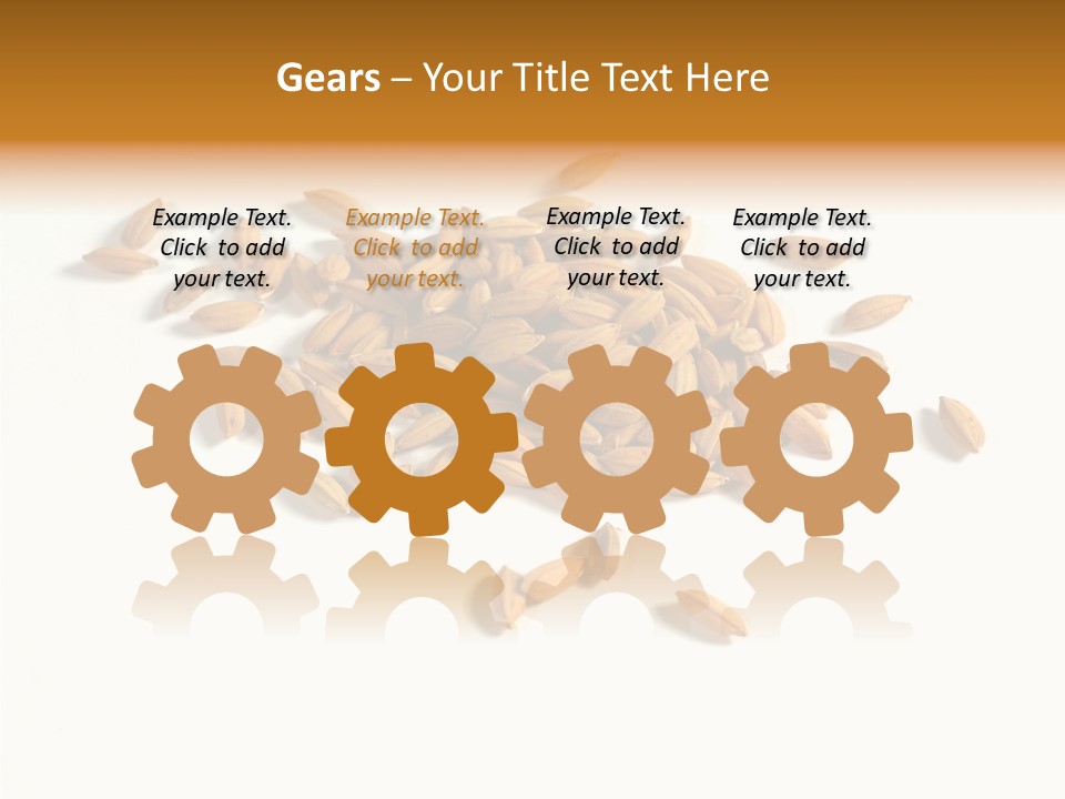 Rice Plant Harvest PowerPoint Template