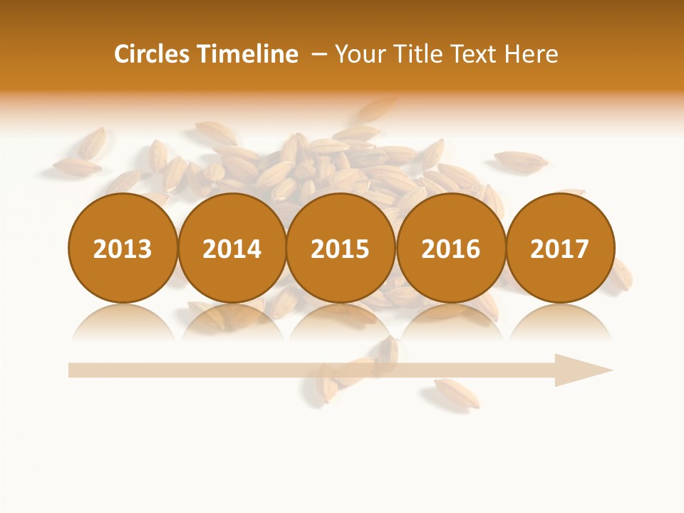 Rice Plant Harvest PowerPoint Template