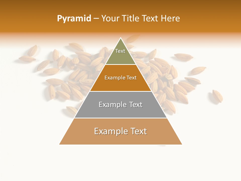 Rice Plant Harvest PowerPoint Template