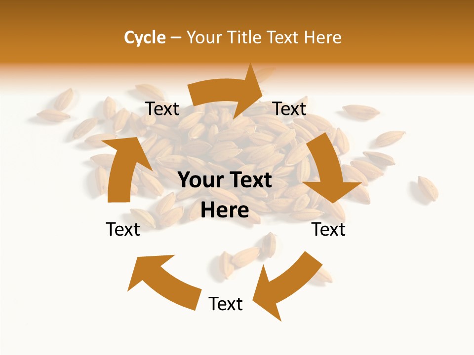 Rice Plant Harvest PowerPoint Template