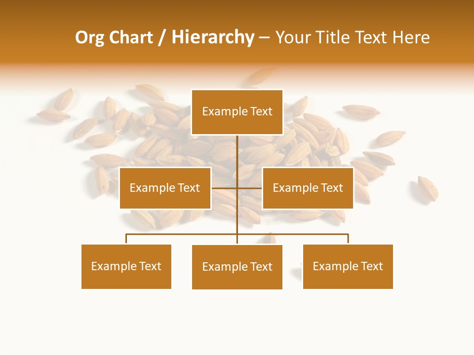 Rice Plant Harvest PowerPoint Template