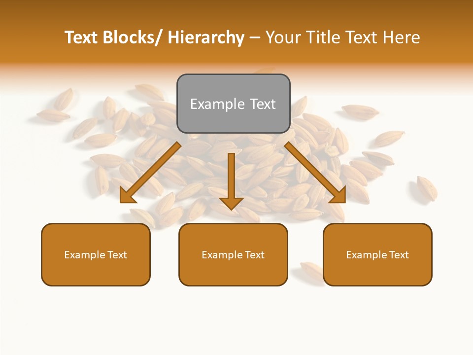 Rice Plant Harvest PowerPoint Template
