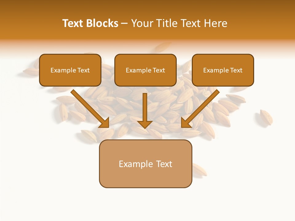Rice Plant Harvest PowerPoint Template