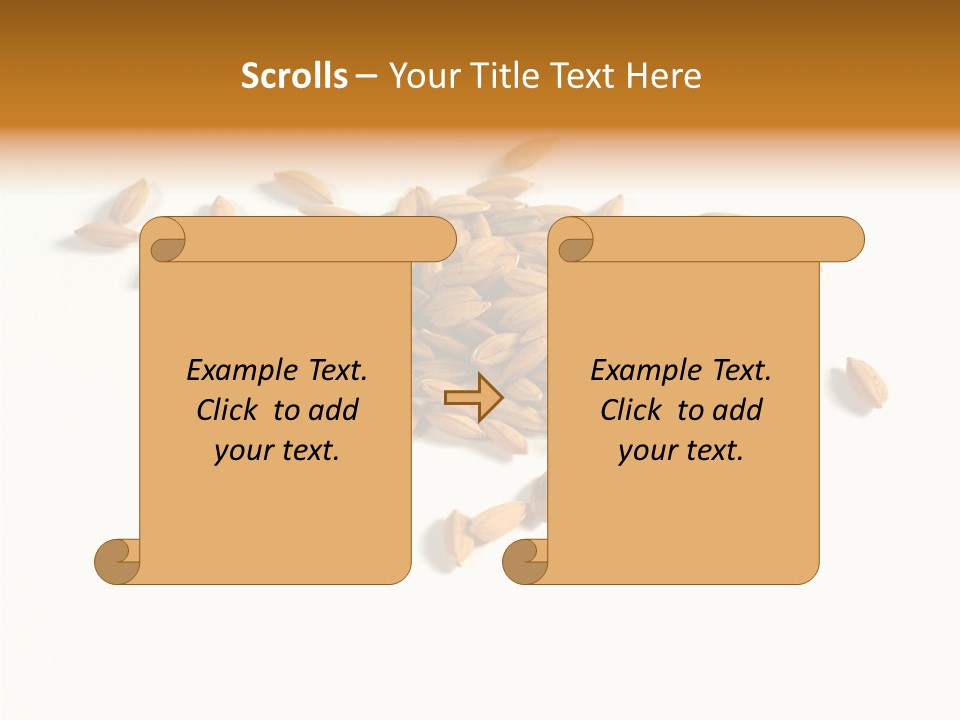 Rice Plant Harvest PowerPoint Template