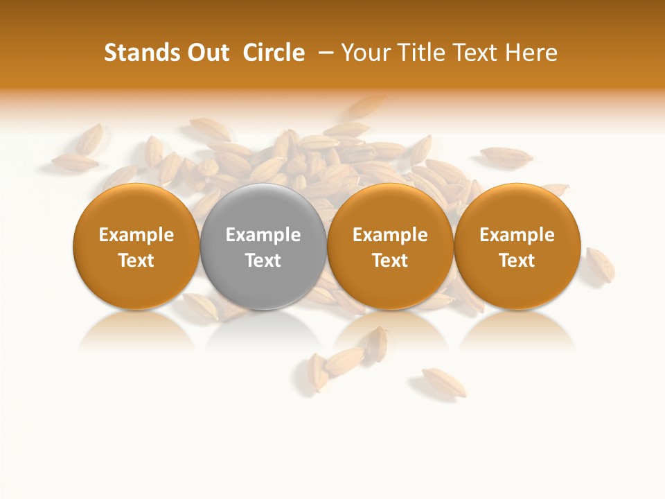 Rice Plant Harvest PowerPoint Template