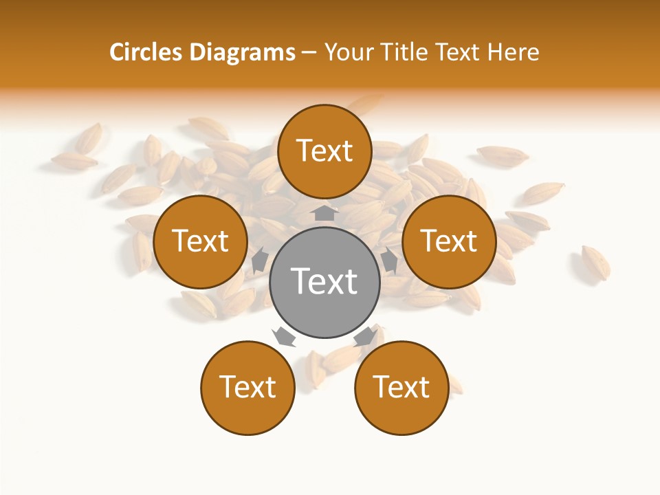 Rice Plant Harvest PowerPoint Template