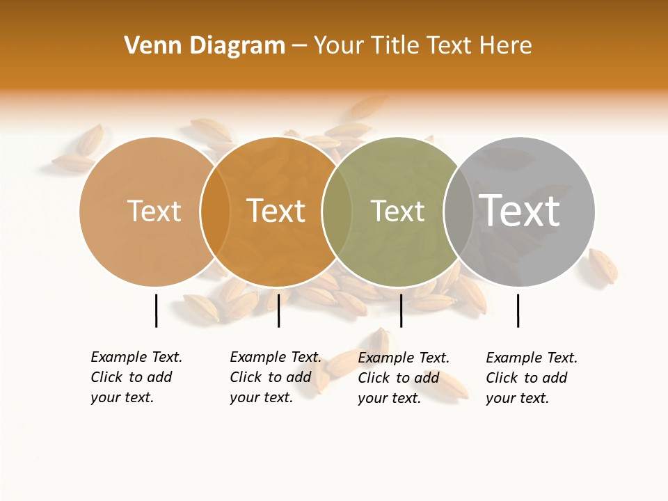 Rice Plant Harvest PowerPoint Template