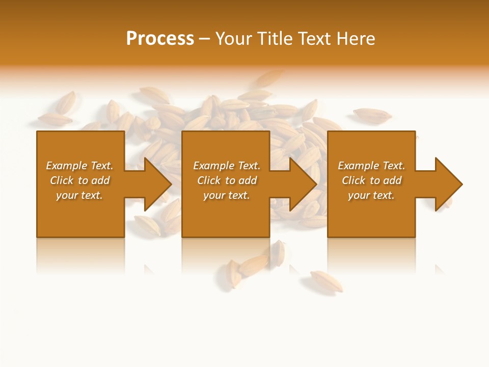 Rice Plant Harvest PowerPoint Template