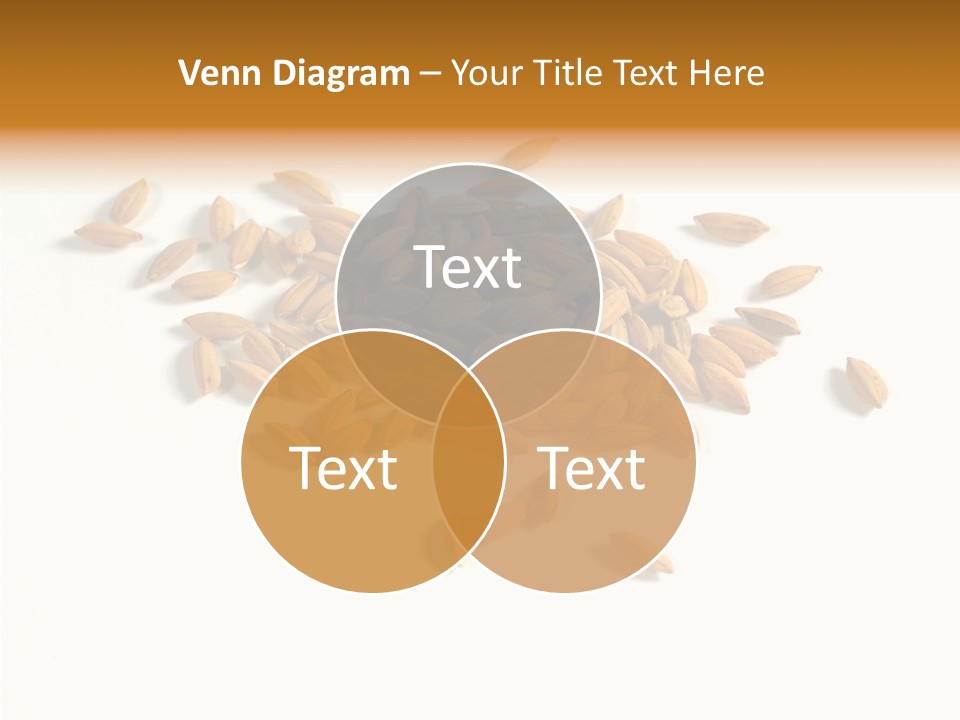 Rice Plant Harvest PowerPoint Template