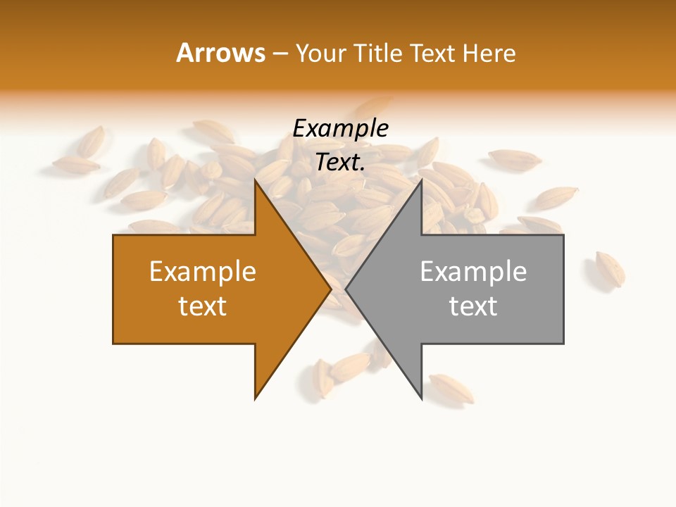 Rice Plant Harvest PowerPoint Template